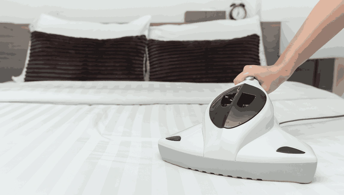 Professional Mattress Cleaning Parkdale
